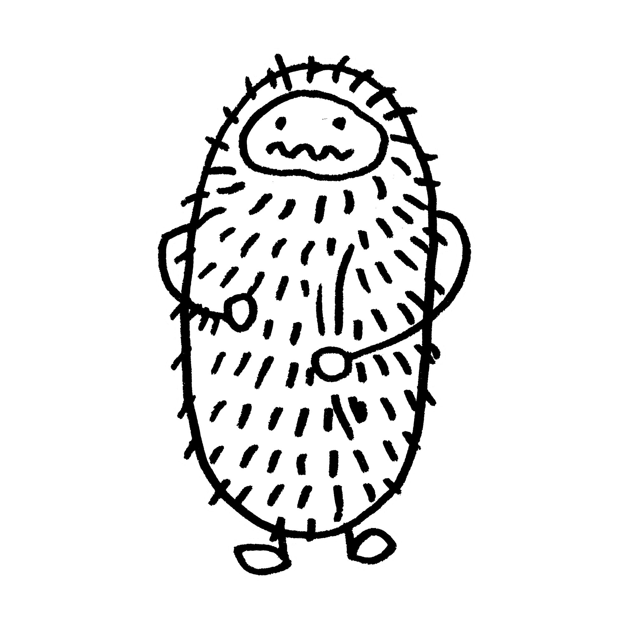 Belly